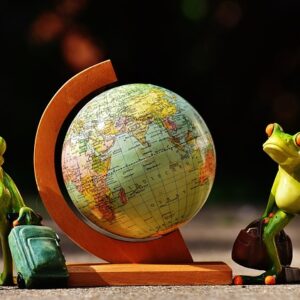 local and long distance movers