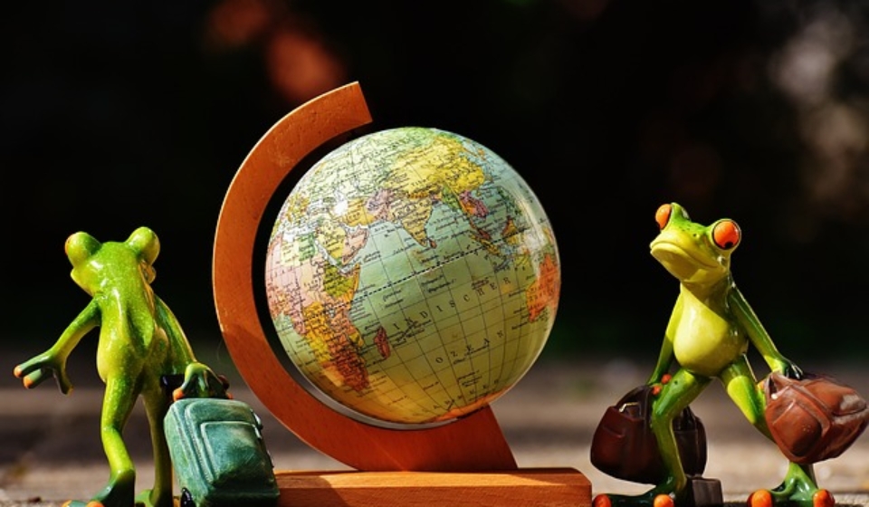 local and long distance movers