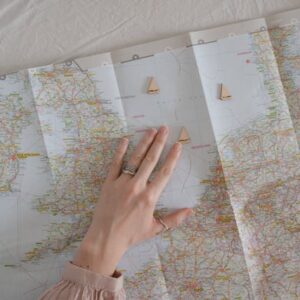 local or international movers