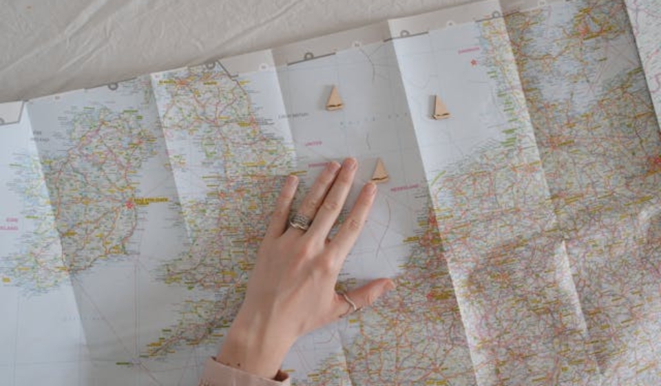 local or international movers